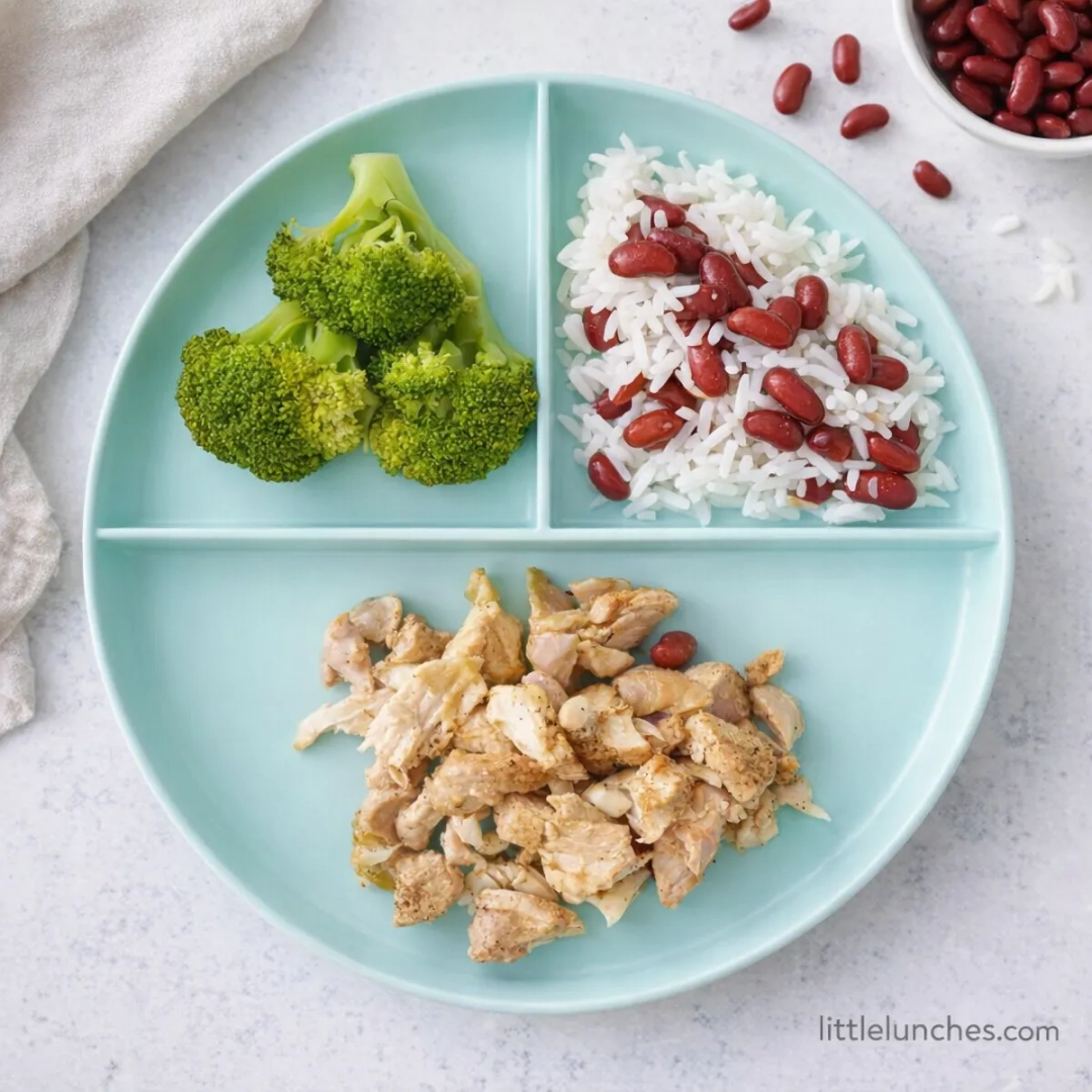 Chicken With Rice, Beans And Veggies (no salt)
