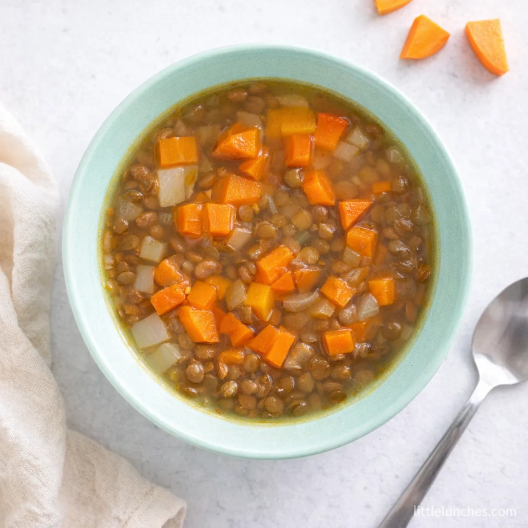 Lentil Vegetable Soup